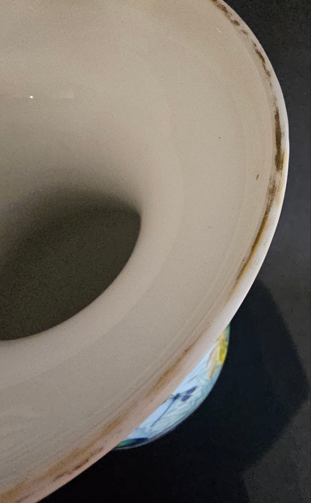 A Large 19thC Paris Porcelain Vase Finely Painted with Ducks, Flowers and Fruit