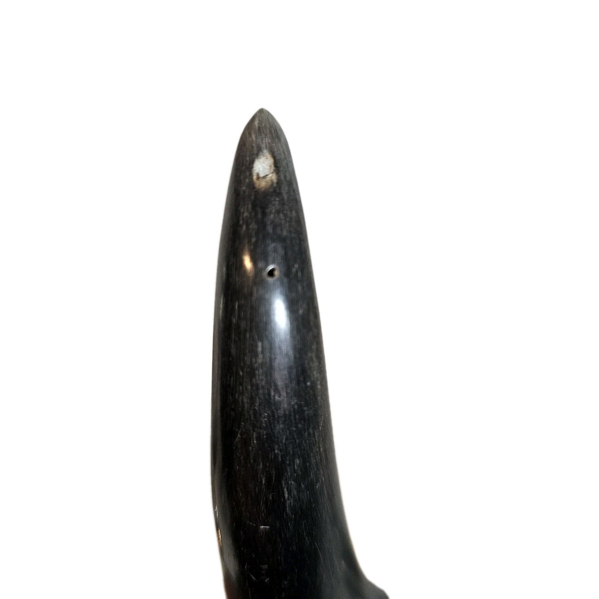 A Vintage Pair of Bull Horn Candlestick Holders in Silver
