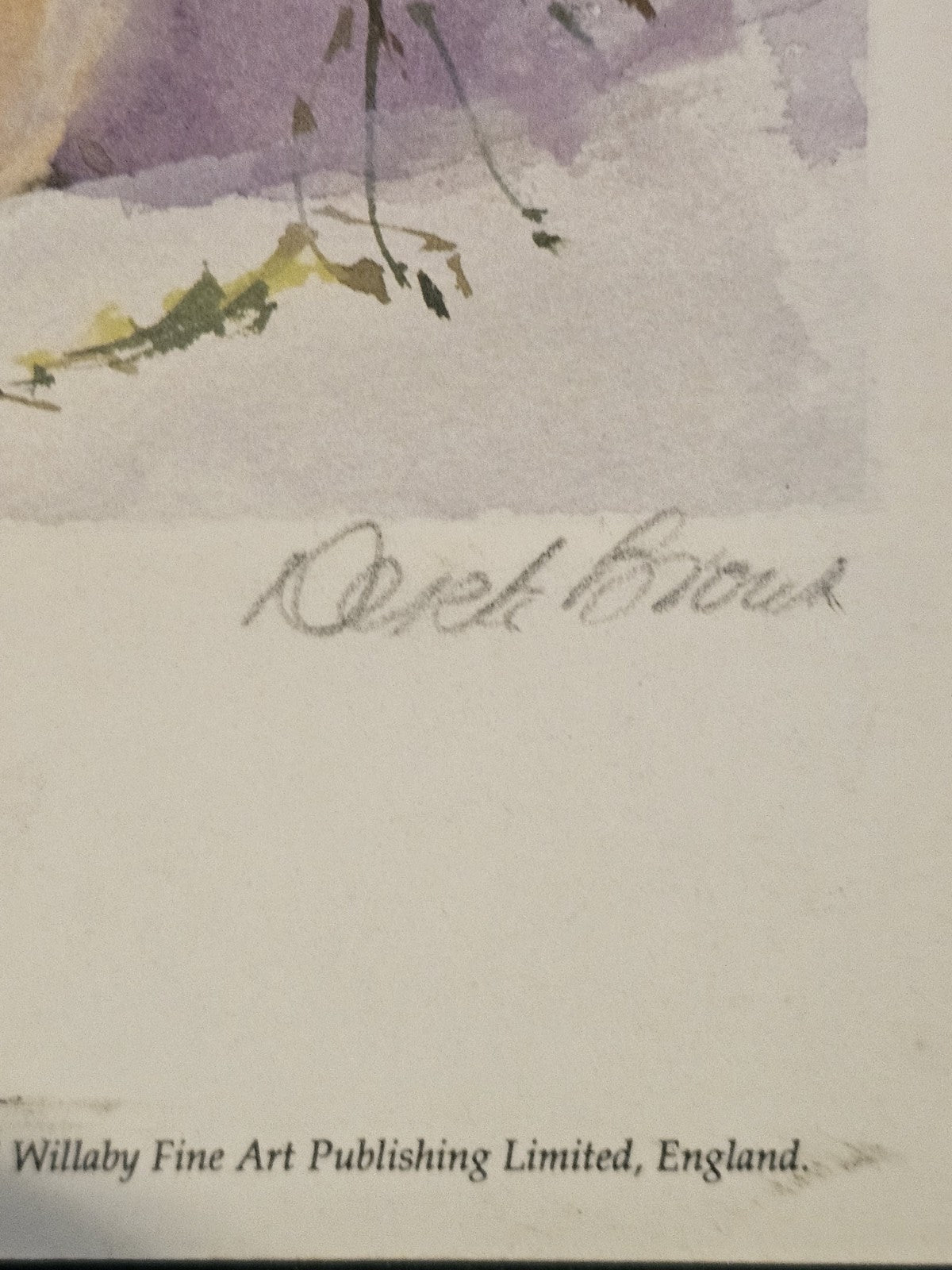 A Limited Edition Print of a Still life  Signed by Derek Brown - Buttercups