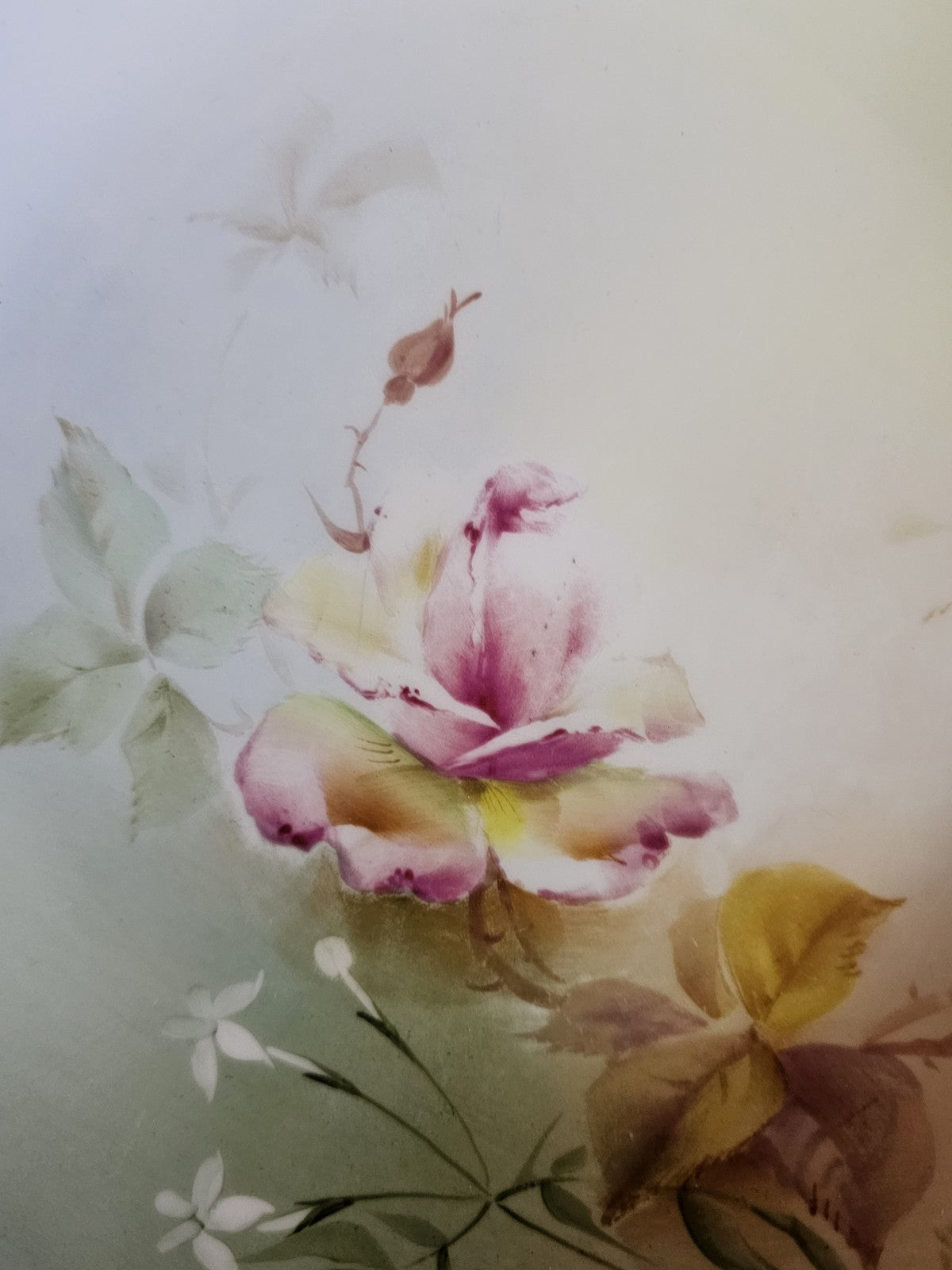 A Royal Worcester Plate, C1907, Hand Painted with Hadley Roses