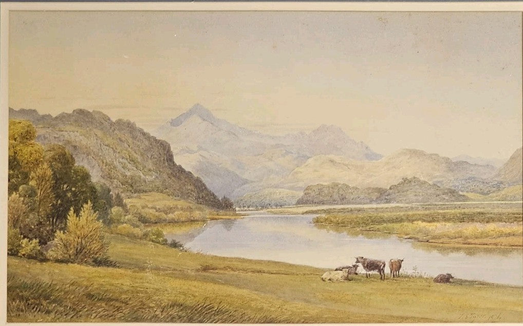 A Framed Watercolour Painting of Cattle in a Landscape, Signed, J S Tyler C1876