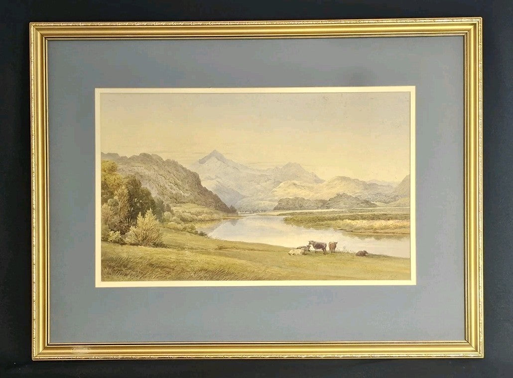 A Framed Watercolour Painting of Cattle in a Landscape, Signed, J S Tyler C1876