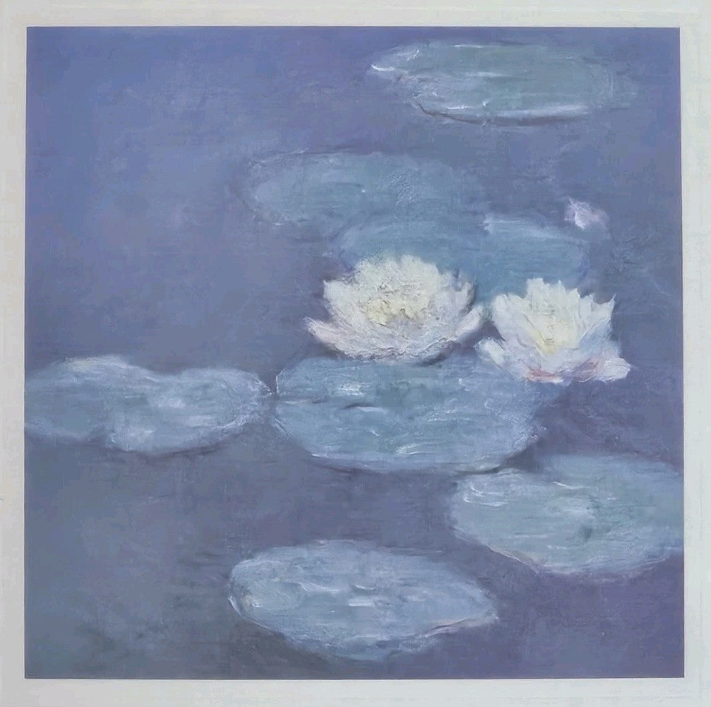 A Contemporary Modern Framed Print of Water Lilies