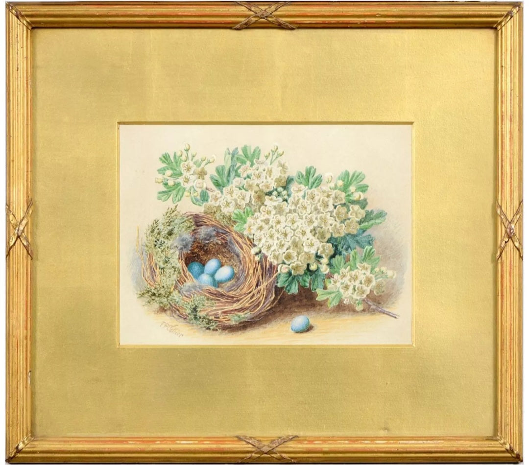 Thomas Frederick Collier - Still Life with a Bird's Nest, signed, Watercolour