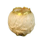 https://i.ebayimg.com/images/g/ydgAAeSwuN9pZi-B/s-l140.webp