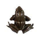 https://i.ebayimg.com/images/g/Re8AAeSwwoppjZBP/s-l140.webp