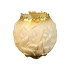 https://i.ebayimg.com/images/g/~sIAAeSwV71pZi-B/s-l140.webp